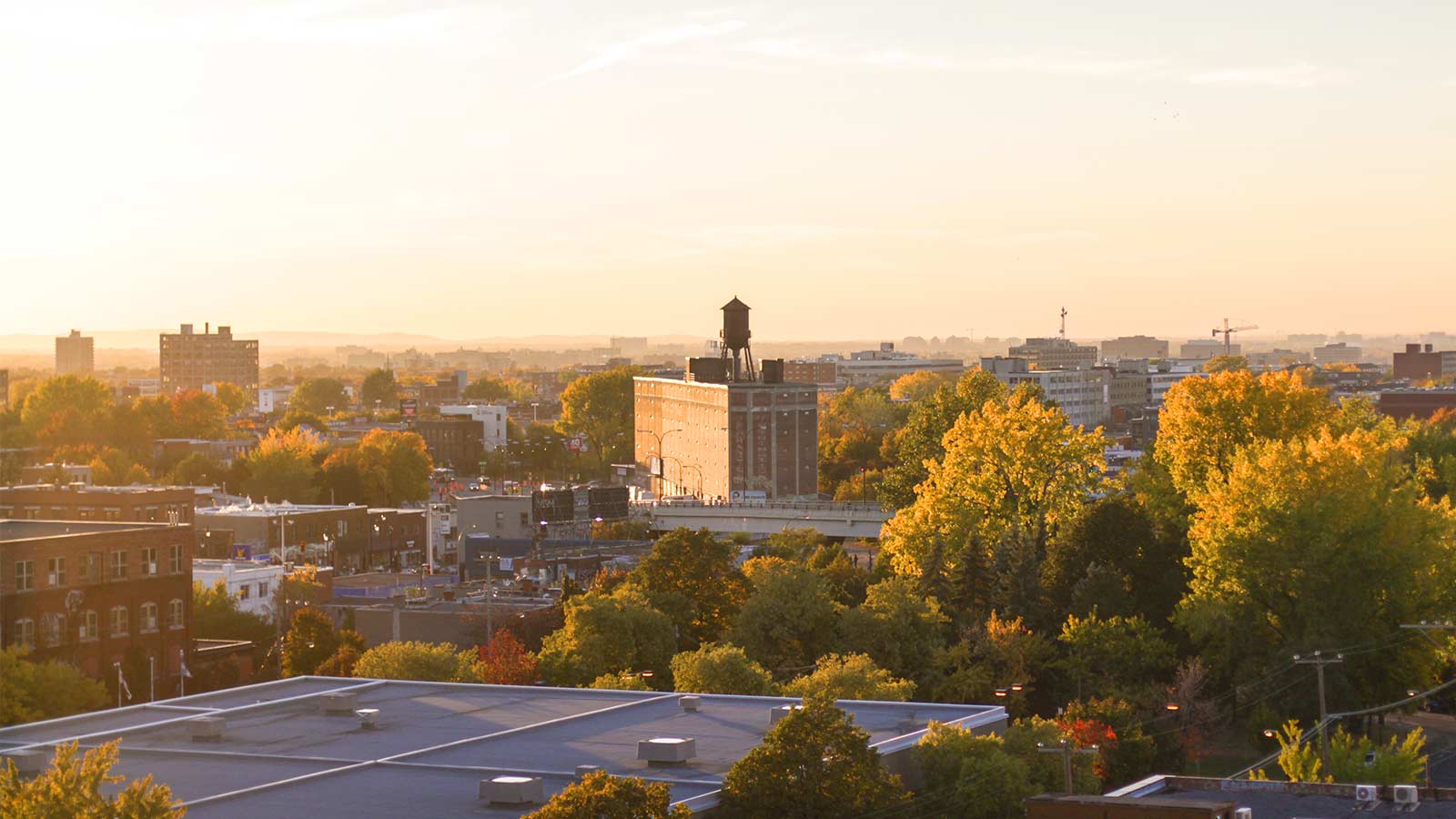 Oopsmark Studio Tour