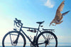 Bicycle Wine Rack Bike Bottle Holder