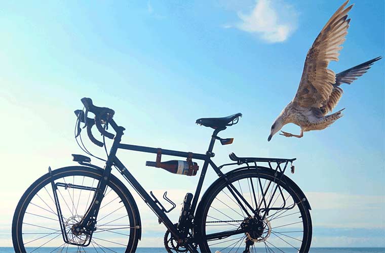 Bicycle Wine Rack Bike Bottle Holder